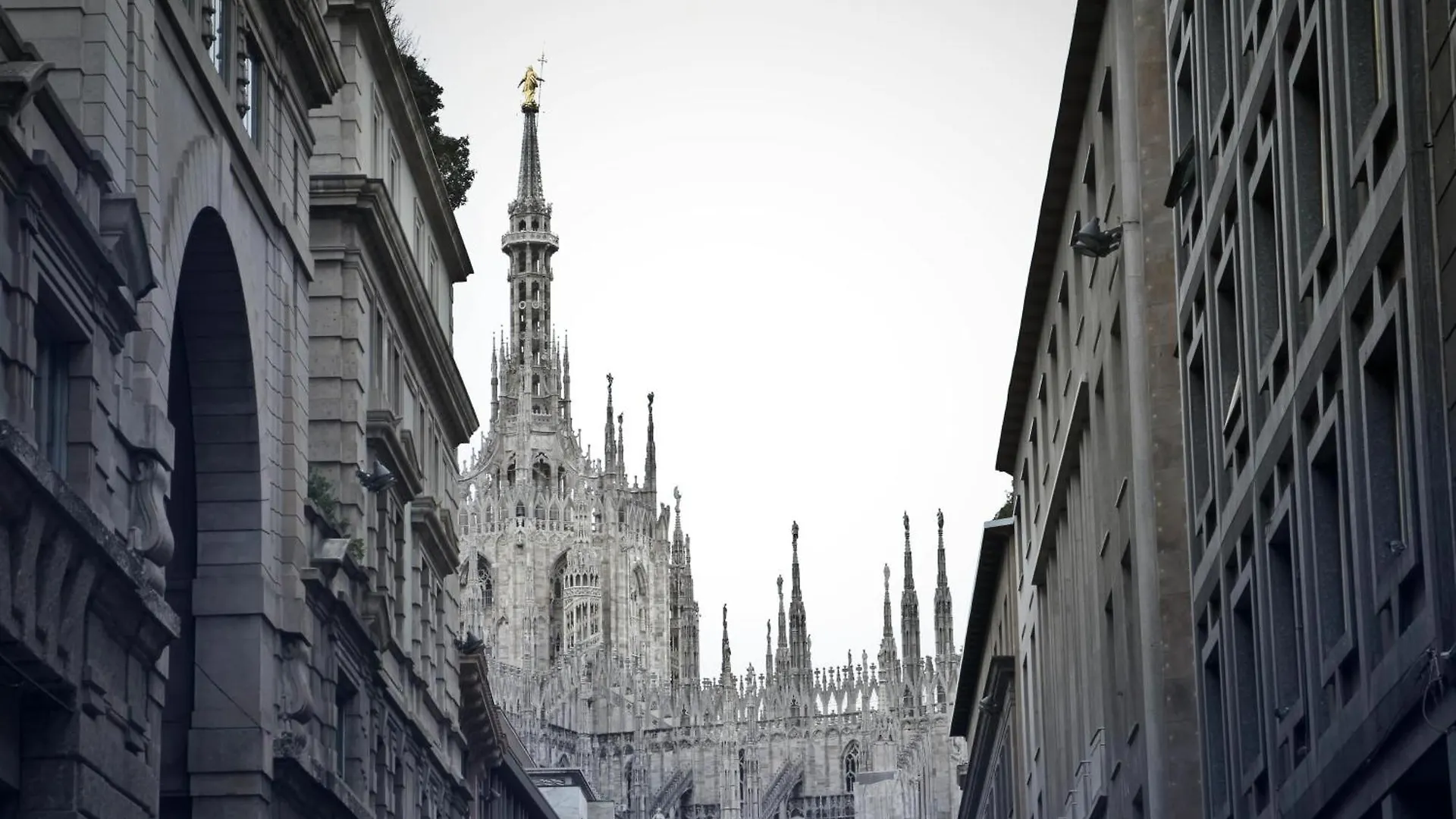 The White Jungle - San Babila Attic Lejlighed Milano